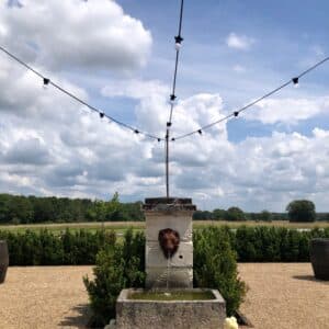 Festoons