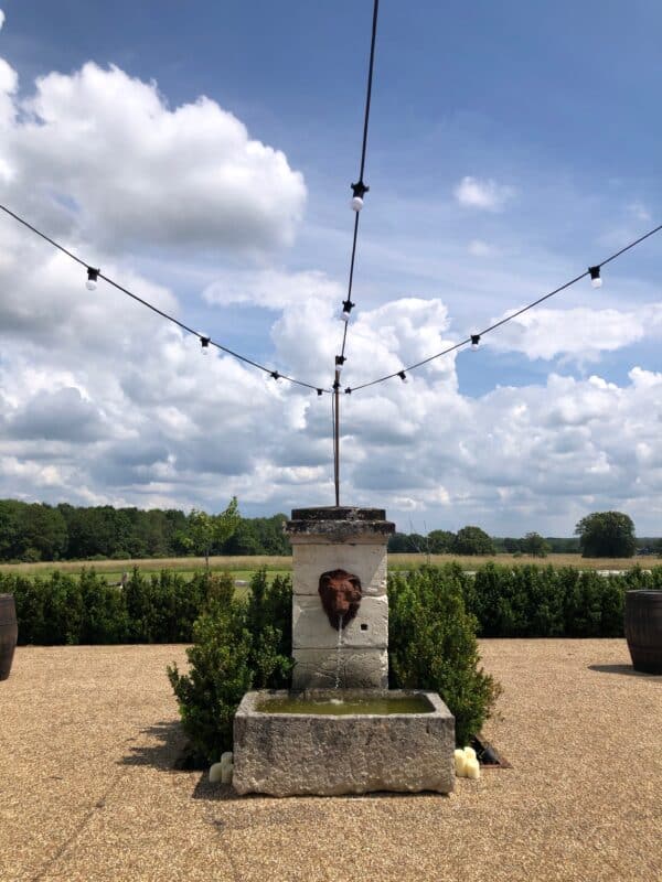 Festoons
